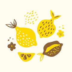 Hand drawn vector set of different decorative lemons. Cartoon style lemons. Food illustration for any design.
