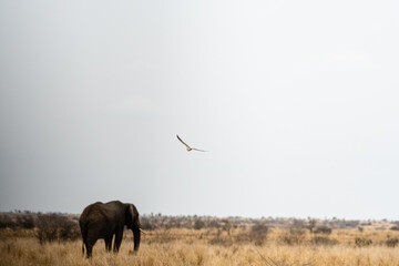 Kruger National Park