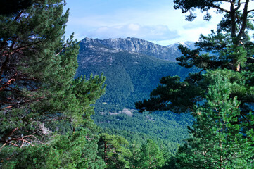 Fototapeta na wymiar krajobraz góry drzewa jesień natura rośliny