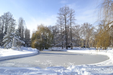 Panorama of the city park covered with snow in Novi Sad 