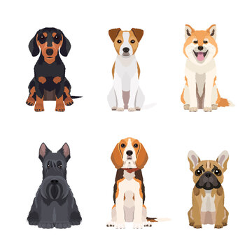 Set of different dogs breeds in flat style. Vector objects isolated on white background