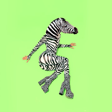 Contemporary minimal Collage lady zebra. Tropically ungle africa style