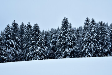 Winterlandschaft mit Wald