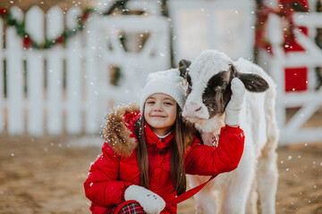 Girl posing with young bull at the white Christmas farm. Snowing.