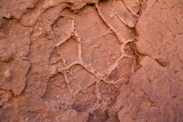 Geology and tectonic plates. Sedimentary rock natural texture and pattern. Closeup view of red canyon rock with prehistoric fossils.