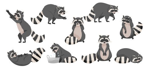 Funny Raccoon with Dexterous Front Paws and Ringed Tail Vector Set © Happypictures