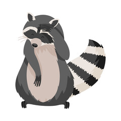 Cute Raccoon Animal Scratching His Head with Its Front Paw Vector Illustration