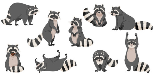 Funny Raccoon with Dexterous Front Paws and Ringed Tail Vector Set © Happypictures