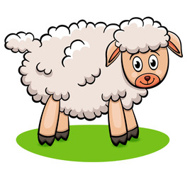 Vector farm lamb cartoon illustration