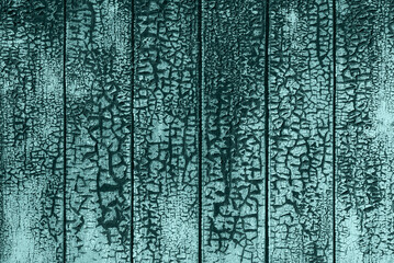crack mesh of old peeling paint on wooden planks wall in blue-green tones