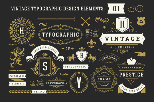 Vintage typographic decorative ornament design elements set vector illustration