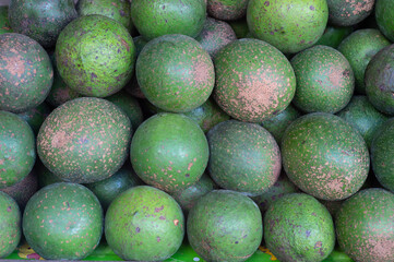 Stacks of green avocados for sale