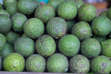 Stacks of green avocados for sale