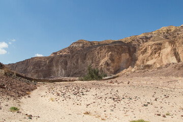 White canyon with yellow rocks. Egypt, desert, the Sinai Peninsula, Dahab.