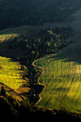 landscape with grass and mountains