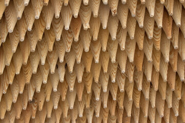 texture of a wood