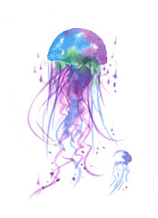 Fototapeta premium くらげ2