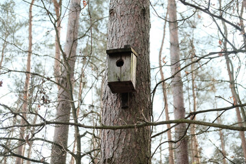 wooden bird house on the tree