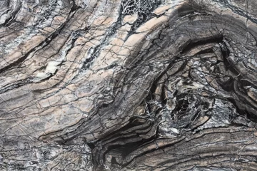 Foto op Aluminium Blackwood lether - natuurlijke marmeren steentextuur, foto van plak. © Dmytro Synelnychenko