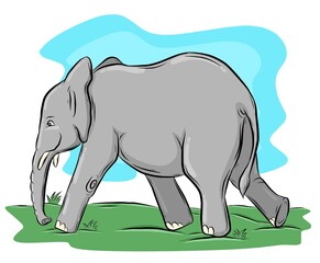 elephant cartoon illustration