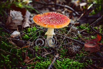 Metal spiral shape earrings on Amanita muscaria