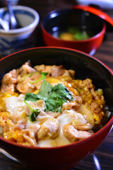 Hong Kong 2013 : A Bowl Of Japanese Style Chicken And Egg On Rice(Oyakodon)
