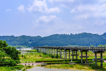 Fototapeta premium 静岡県の蓬莱橋