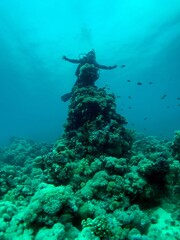 Fototapeta na wymiar scuba diver and reef