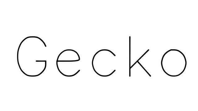 Gecko Handwritten Text Animation in Various Sans-Serif Fonts and Weights