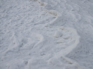 waves of ice in the coastal strip of the river in winter, an interesting phenomenon of nature