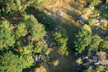 Bauschutt und Abfall in der Natur abgeladen