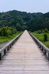 Obraz na płótnie Canvas 静岡県の蓬莱橋