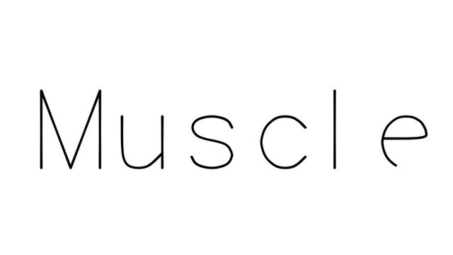 Muscle Handwritten Text Animation in Various Sans-Serif Fonts and Weights