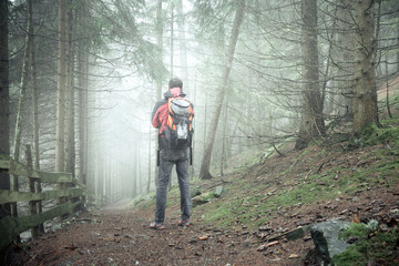Fototapeta premium a man walking alone inside a forest in a foggy day