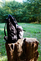 A tourist backpack stands on a stump in nature