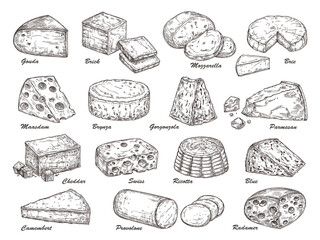 Sketch cheese. Hand drawn product, holland tasty dairy cuisine food. Isolated parmesan piece, cheddar gouda exact slice vector collection. Illustration product fresh piece, swiss drawing cheese