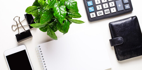 Wallet, telephone, calculator, green plant, clips and a blank white notepad on a light background. Copy space
