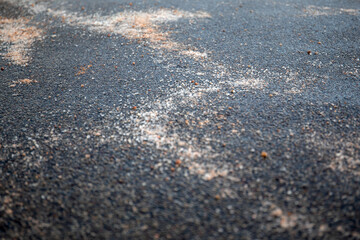 Sidewalk and carriageway sprinkled with salt. Urban environment and security