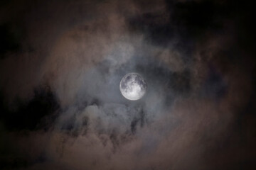 Fototapeta na wymiar Luna