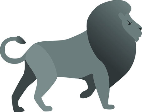  Wild feline animal of the cat family. The male lion stands on three legs, raising the fourth.