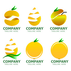 set of orange fruit logo vector shapes