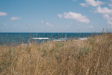 view of the beach