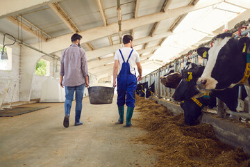 Man farmers or warm workers in uniform and rubber boots carrying bucket of hay © Studio Romantic