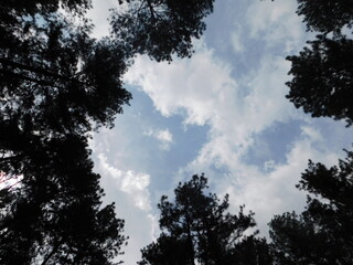 Fototapeta premium Clouds Lapse