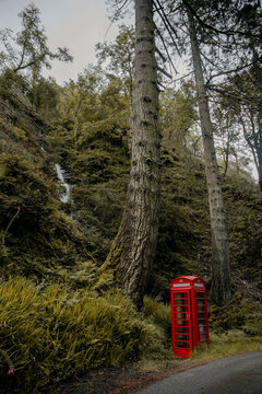 Telephone box in nature