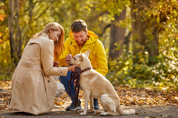 couple dressed casual hugging and taking a walk in nature with their lovely nice dog , autumn season