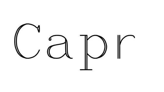 Capri Animated Handwriting Text in Serif Fonts and Weights