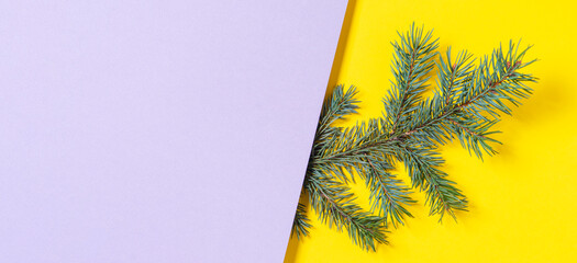 Small fir branch on yellow and gray background. Christmas and New Year banner background. Top view