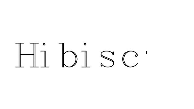 Hibiscus Animated Handwriting Text in Serif Fonts and Weights