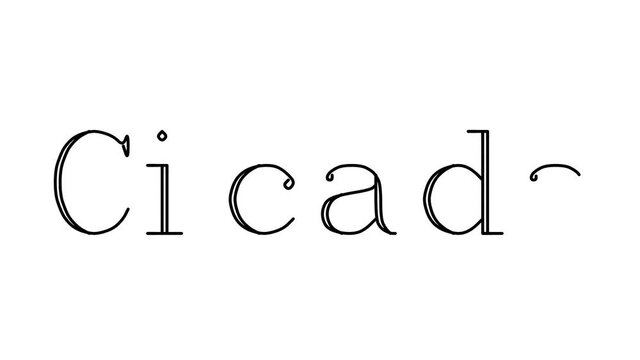 Cicada Animated Handwriting Text in Serif Fonts and Weights